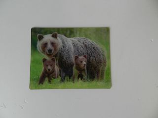 Obrázek z Magnet 3D 7x9cm-medvědí rodina 
